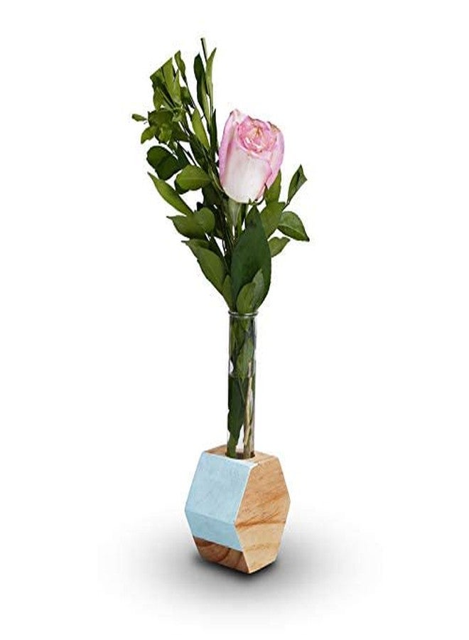 Sharpex Single Test Tube Wooden Plant Stand in Hexagon Shaped for Hydroponic Plants and beatifully Designed in Wooden Beige Color | Indoor, Outdoor | for Home Décor, Office Décor | - Image 2